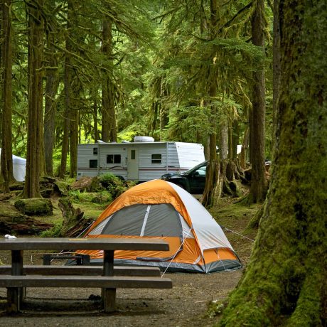 campsite with tent and RV in forest